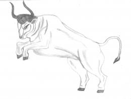 TAURUS